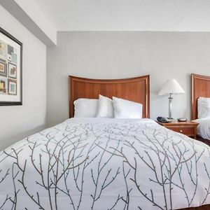 Premium Queen Room